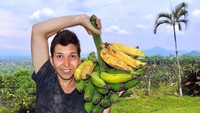 Netizen menyayangkan Nikocado yang mengeksploitasi tubuhnya sendiri demi view di YouTube. Rupanya Nikocado telah melakukan video ini selama 4 tahun terakhir atau lebih dan telah mendapatkan sekitar 200 pound (90 kg) sepanjang waktu itu. Dia benar-benar memakan dirinya sendiri sampai mati demi views, tulis seorang netizen seperti dikutip dari detikinet (14/10/21). Foto: Instagram nikocadoavocado_real