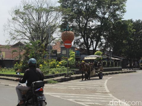 Petani Stroberi Bandung