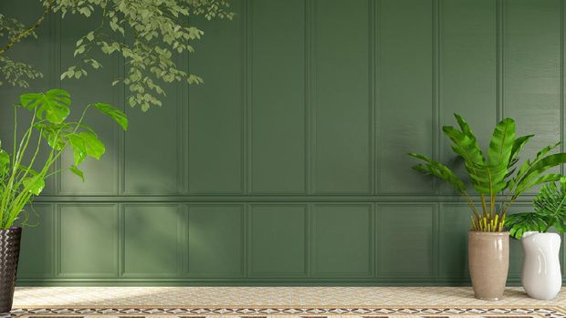Ruangan dengan cat dinding hijau