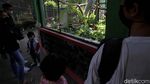 Taman Satwa Taru Jurug Terima Kunjungan Segala Umur