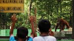 Taman Satwa Taru Jurug Terima Kunjungan Segala Umur