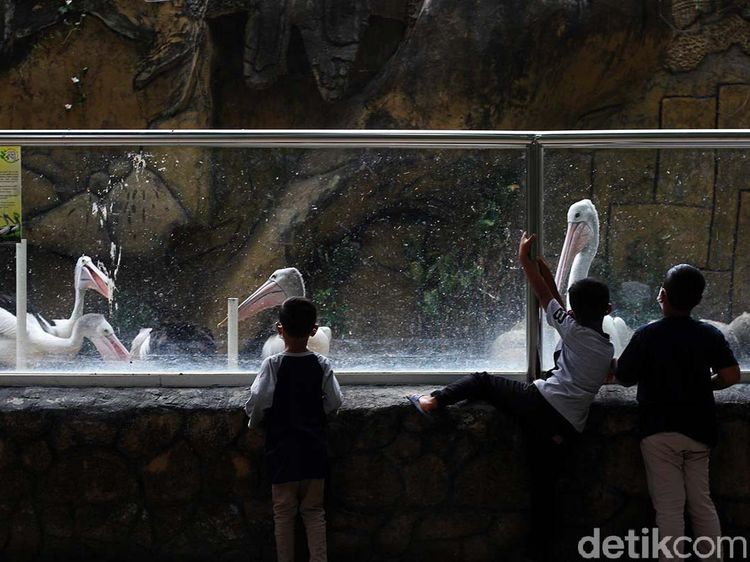 Taman Satwa Taru Jurug Terima Kunjungan Segala Umur