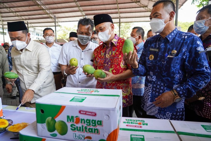 1 Ton Mangga Asal Petani Gresik Diekspor ke Singapura