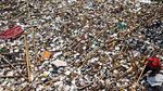Duh...Sungai Cibanten Serang Dipenuhi Sampah