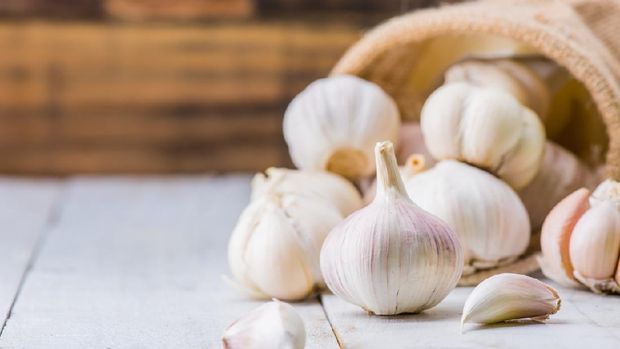 Garlic Cloves and Bulb for food cooking in the kitchen