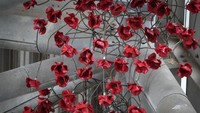 Ada ribuan bunga poppy keramik untuk karya seni instalasi Blood Swept Lands and Seas of Read yang dipajang di Imperial War Museum North (IWM) pada 20 Oktober 2021 di Manchester, Inggris.  Foto: Getty Images/Christopher Furlong