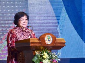 Menteri LHK Bersyukur Indonesia Bebas Asap Karhutla Selama Pandemi