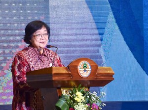 Menteri LHK Bersyukur Indonesia Bebas Asap Karhutla Selama Pandemi