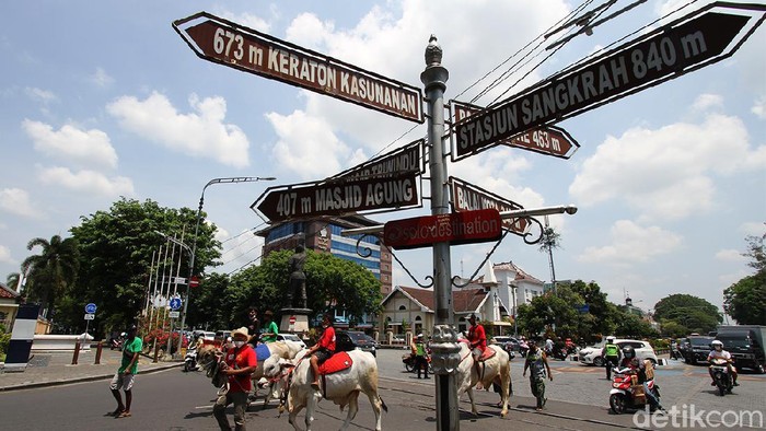 Ketika Sapi-sapi di Boyolali Ramaikan Jalan Protokol Kota Solo Ada yang berbeda dari suasana jalan protokol di kota solo hari ini. Sejumlah sapi terlihat melintas dan langsungb menjadi pusat perhatian warga.