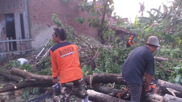Puting beliung landa wilayah Kecamatan Undaan, Kudus, Kamis (21/10/2021).