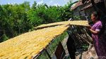 Usaha Kerupuk di Grobogan Ini Bertahan 93 Tahun Lho