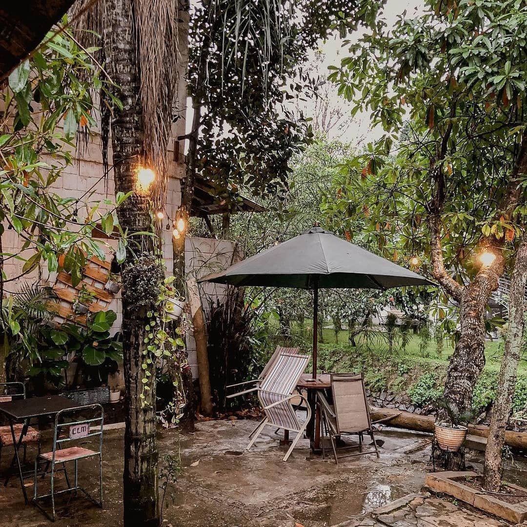 5 Coffee Shop Keren di Depok, Lokasinya Nyempil di Gang hingga Tepi Sungai