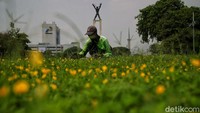Namun, pengunjung dibatasi maksimal 150 orang dan pada Sabtu, Minggu dan hari libur, waktu berkunjung dibatasi selama satu jam yang berlaku situasional agar tidak terjadi antrean.