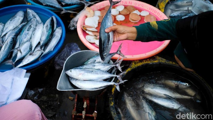 Berburu Aneka Hasil Laut Segar di Pasar Tawang Kendal Ingin membeli hasil laut yang masih segar? Cobalah datang ke Pasar Tawang, Kabupaten Kendal, Jateng ini. Beragam jenis ikan tersedia lengkap.
Pasar Tawang di Desa Gempolsewu, Kecamatan Rowosari, Kabupaten Kendal, Jawa Tengah, menjual aneka ikan dan hasil laut lainnya yang masih segar.