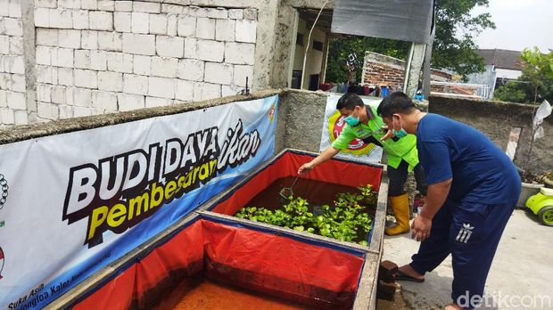 Budikdamber di Bandung Budikdamber di Bandung