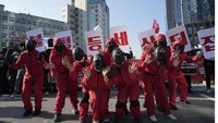 Pemerintah Kota Seoul sendiri mengajukan pengaduan polisi terhadap kelompok tersebut karena melakukan protes ilegal yang melanggar undang-undang pencegahan penyakit menular. Foto: AP