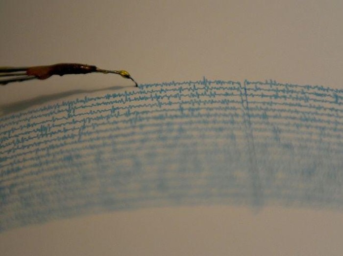 Gempa di Jawa Timur Terasa di Daerah-daerah Ini