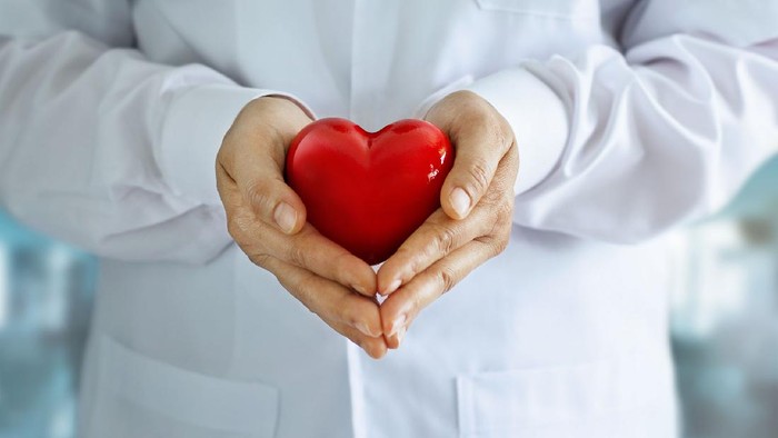 Doctor with stethoscope and red heart shape in hands on hospital background