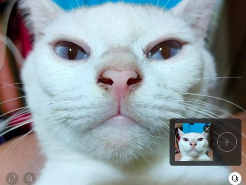 Cara upload foto dan video di Instagram lewat browser