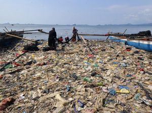 Jorok! Sampah Menumpuk di Pantai Lampung