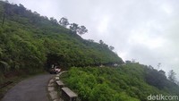 Di sepanjang perjalanan, peserta menikmati keindahan alam maupun hamparan ladang tanaman sayuran yang menghijau. Selain itu, mereka juga menikmati sensasi naik jip di sepanjang perjalanan.