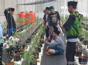 Aksi Bertani-Beternak Para Penghuni Banyulana Ciamis