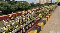 Penampakan sejumlah pot tanaman gantung yang menghiasi jembatan di kawasan Bekasi, Jumat (22/10/2021).