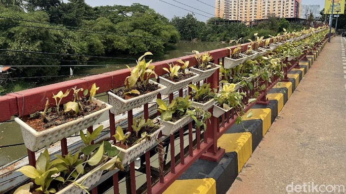 Sejumlah pot tanaman gantung menghiasi jembatan di Bekasi. Pot tanaman hias itu pun tampak membuat area jembatan lebih asri dan tak terlihat kumuh.