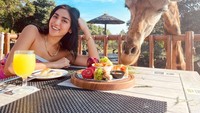 Makan bareng jerapah juga pernah dilakoni Jessica. Momennya ini tampak menyenangkan sekaligus menegangkan. Gebetan baru, panjang banget lehernya, kata Jessica.  Foto: Instagram @inijedar