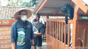 Banyakan Kambing Daripada Manusia, Sandiaga Sebut Desa Ini New Zealand van Java