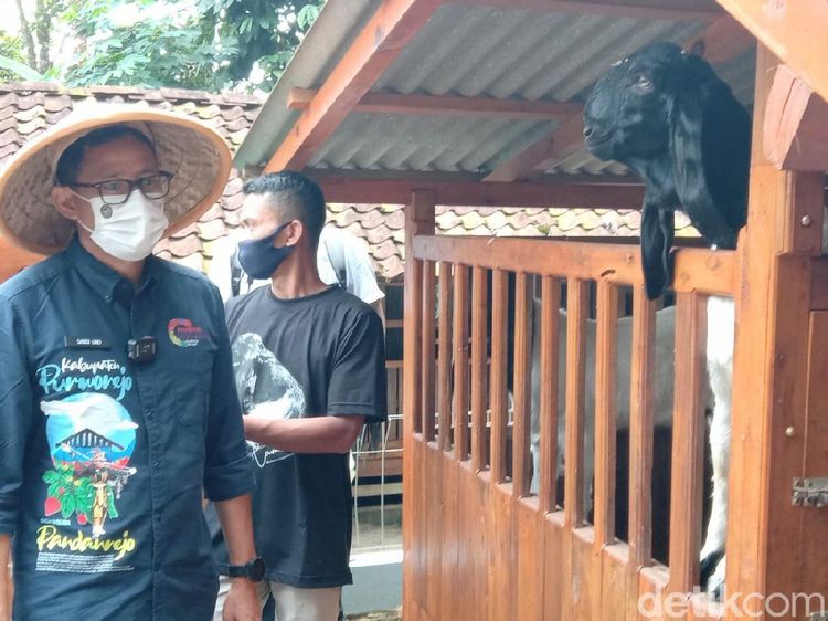 Banyakan Kambing Daripada Manusia, Sandiaga Sebut Desa Ini New Zealand van Java