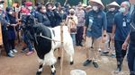 Banyakan Kambing Daripada Manusia, Sandiaga Sebut Desa Ini New Zealand van Java