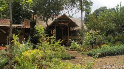Saung Eling, Tempat Makan dengan Pemandangan Hijau di Bogor