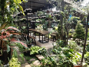 Percaya Tidak, Ada Kafe Sehijau Ini di Jakarta