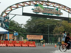 Syarat Masuk Ragunan Oktober 2021, Buka Lagi 23 Oktober!