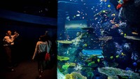 Resor Sentosa, Singapura. Chris McGrath/Getty Images.