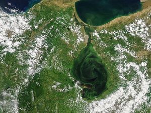 Air Danau di Venezuela Berubah Jadi Hijau, Apa Sebabnya?
