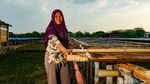 Ajaib! Bahan Baku Garam Made in Grobogan Jauh dari Laut