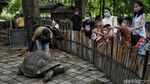 Asyik, Faunaland Ancol Kembali Dibuka