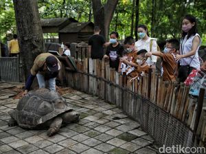 Asyik, Faunaland Ancol Kembali Dibuka