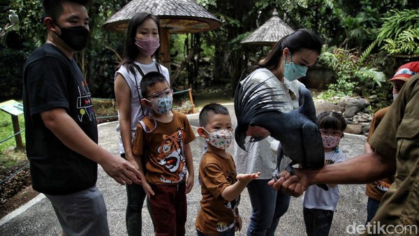 Saat ini Taman Impian Jaya Ancol kini mengizinkan anak-anak usia di bawah 12 tahun untuk dapat berkunjung dan rekreasi. Hal ini seiring dengan penurunan level PPKM Provinsi DKI Jakarta menjadi level 2. Saat ini Taman Impian Jaya Ancol kini mengizinkan anak-anak usia di bawah 12 tahun untuk dapat berkunjung dan rekreasi. Hal ini seiring dengan penurunan level PPKM Provinsi DKI Jakarta menjadi level 2.