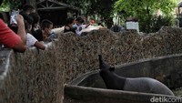 Unit rekreasi di kawasan Taman Impian Jaya Ancol yang dapat dinikmati antara lain Dunia Fantasi, Ocean Dream Samudra, Allianz Ecopark, Pasar Seni Ancol dan Gondola.