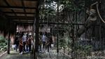 Asyik, Faunaland Ancol Kembali Dibuka