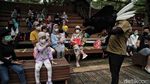 Asyik, Faunaland Ancol Kembali Dibuka