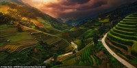 Epson International Pano Awards 2021