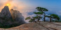 Epson International Pano Awards 2021