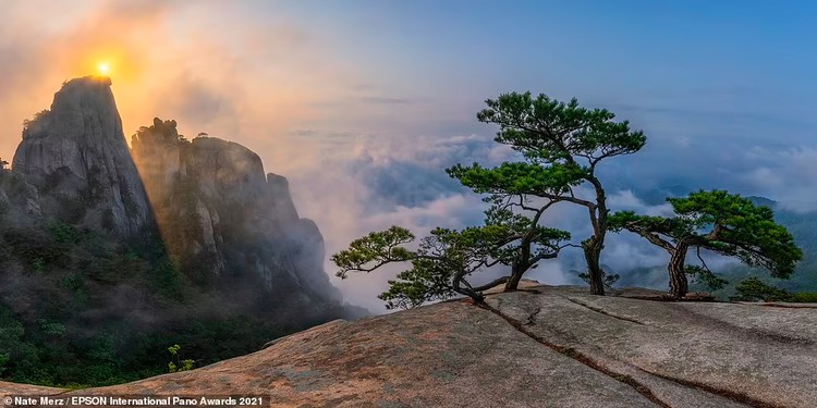 Epson International Pano Awards 2021