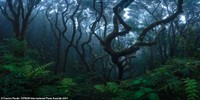 Epson International Pano Awards 2021
