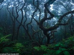 Karya Jawara Kontes Foto Panorama 2021 Menghipnotis Mata