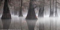 Epson International Pano Awards 2021